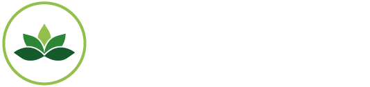 Logo APS